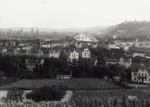 Würzburg, Stadt : Würzburg. Stadtteil mit Mietvillen oberhalb der Altstadt. Blick über ein Weinfeld nach Süden