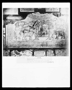 Orpheus unter Tieren
