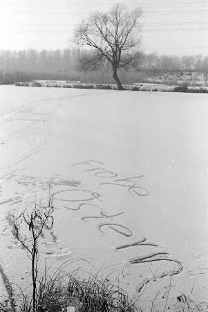 Wintertag an einem Baggersee bei Daxlanden.