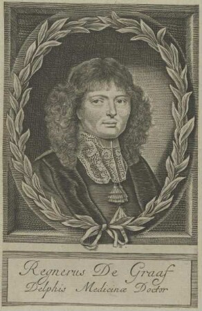 Bildnis des Regnerus de Graaf