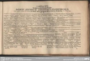 Tabula XVII. Continuatio Genealogiae Domus Augustae Austriaco-Habsburgicae