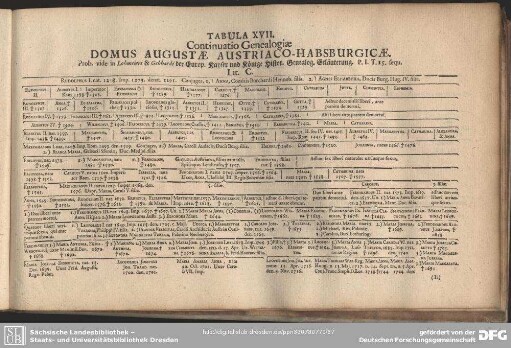 Tabula XVII. Continuatio Genealogiae Domus Augustae Austriaco-Habsburgicae