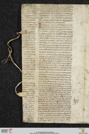 Lib. II, Tit. XIX: De probationibus, Cap. VIII