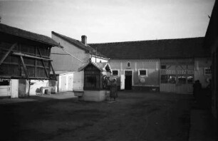 Aradul Nou: Bauernhof