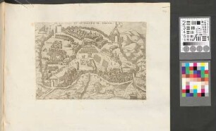 Il Vero Et Ritratto Di Siena