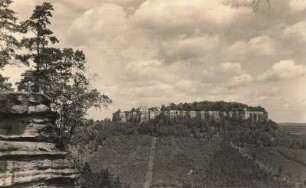 Festung Königstein : Die Festung (Südseite) vom Quirl gesehen