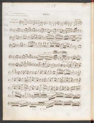 Flute