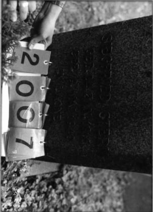 Grabstein 2007 [Hahn S. 254 Grab-Nr. 2926]: Grabstein 2007 (Detailaufnahme 2) [Hahn S. 254 Grab-Nr. 2926]