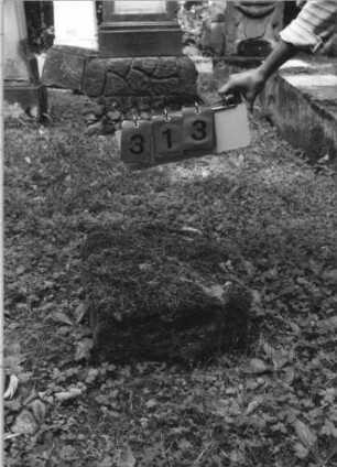 Grabstein 313