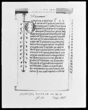 Psalterium cum Canticis — Initiale D (eus) mit Randausläufer in Form einer Hand mit Weinstock, Folio 34verso