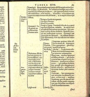 Tabula XCVII.