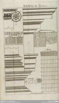 Ionica Figura 3.