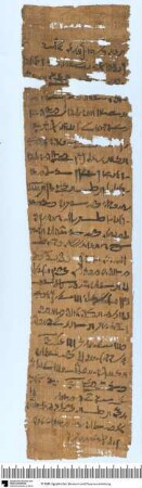 Demotischer Papyrus, Hochformat-Brief, Antwort an Pareitis