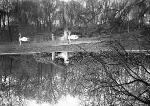 Deutschland. Parkanlage. Blick über einen Teich mit zwei Schwänen