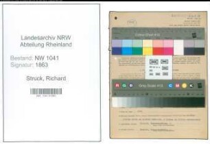 Entnazifizierung Richard Struck , geb. 06.06.1896 (Maurer)