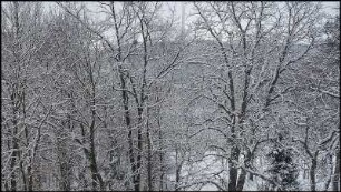 Winter #03