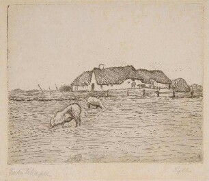 Sylt