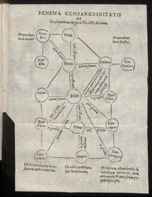 Schema Consanguinitatis