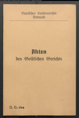 Anna Maria Brand zu Schötmar gegen Diederich Törck zu Schötmar, wegen einer Eheklage