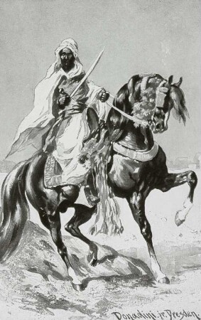 Reiter der Wüste : Reiter der Wüste