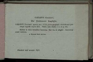 Carabus Creutzeri. [bis] Papilio Lucilla
