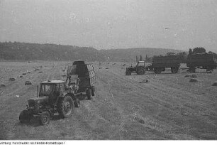 Landwirtschaft, Ackerbau, Ernte, Mohn, etc., 1967-1973