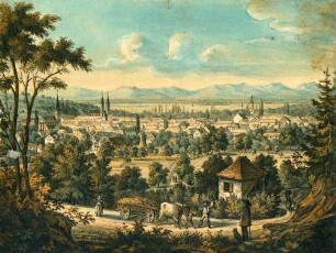 Gesamtansicht aus der Ferne