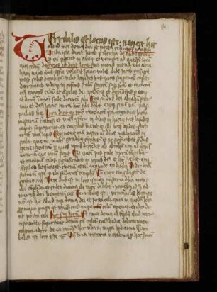 Pelbartus de Themeswar.