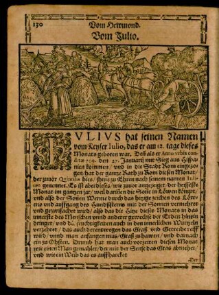 Vom Iulio.