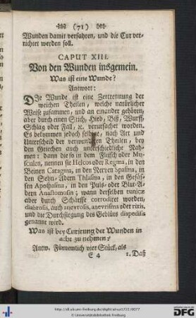 Caput XIII. Von den Wunden insgemein.