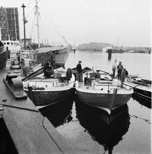 Fischereigenossenschaft Stralsund (FGS). Fischerboote im Hafen