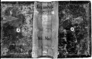 Münchener Arzneibuch - BSB Cgm 415
