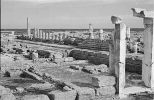 Reisefotos Libyen. Kyrene, antike griechische Stadt