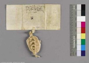 (Markgraf Waldemar von Brandenburg)