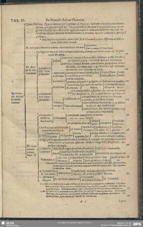 Tab. IV. De Potentiis Animae Humanae