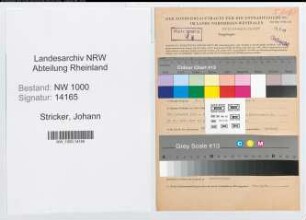 Entnazifizierung Johann Stricker, geb. 12.09.1906 (Stadtassistent)