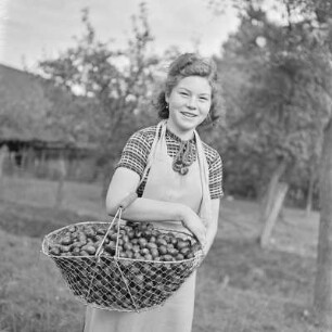 Frau in Schürze mit einem Korb voller Pflaumen
