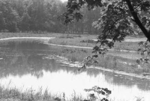 Anlegung des Naturschutzgebiets "Erlachsee" aus einer Trockenkiesgrube im Oberwald im Zusammenhang mit dem Bau der Südtangente