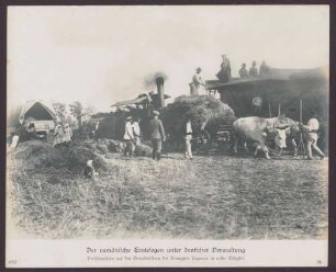 Der rumänische Erntesegen unter deutscher Verwaltung. Dreschmaschine auf den Getreidefeldern des Krongutes Segarcea in voller Tätigkeit