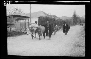 Câmpulung (Rumänien): 2 Rumänen neben 2 Ochsengespannen mit hochbeladenen Strohwagen auf einer unbefestigten Ortsstraße ("in Câmpulung")