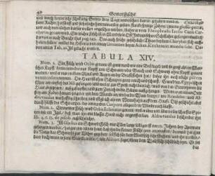 Tabula XIV.