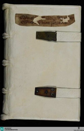 Quaestiones super Aristotelis libris de genratione et corruptione - Cod. Aug. pap. 130