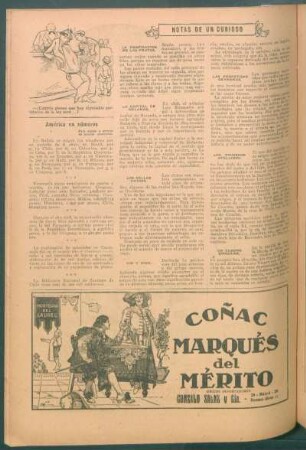 Notas de un curioso
