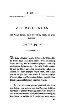 ¬Die¬ wilde Katze : (lat. Catus ferus, felis fylveftris, franz. le chat fauvage) ; Taf. XIII, Fig. 82