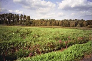 Brennermoor bei Wolkenwehe