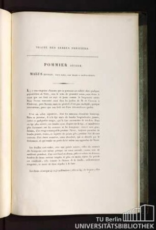 55. Pomme Suisse. Malus zonalis, fructu medio, zonis luteolis et viridibus distincto.