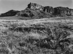 Die Drakensberge : Felswand in den Ausläufern der Drakensberge ("Drachenberge")