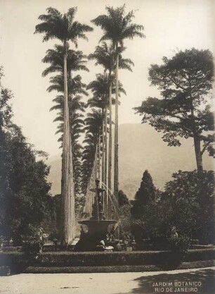 Botanischer Garten, Rio de Janeiro