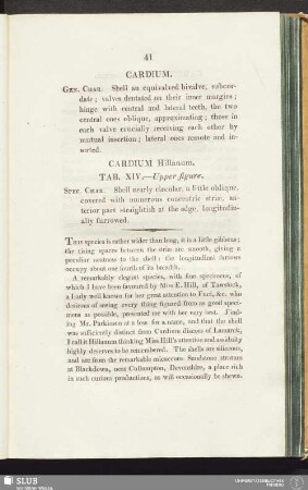 Cardium Hillanum. Tab. XIV. - Upper figure