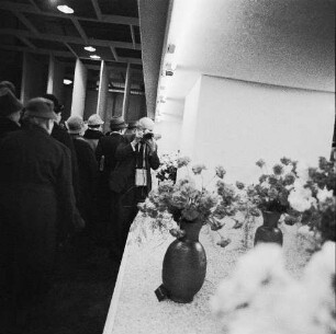 Dresden. Gartenausstellung. Ein Fotograf mit Kamera vor einer Ausstellungsfläche mit Nelken in Vasen